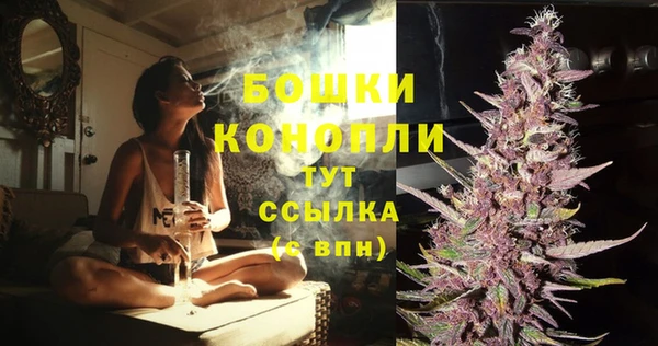 гидра Каменск-Шахтинский