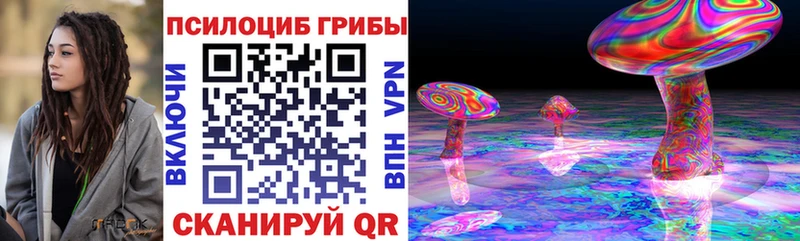 купить наркотик  Верхняя Тура  Галлюциногенные грибы MAGIC MUSHROOMS 